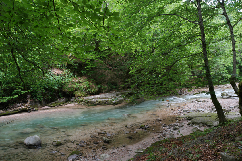 Another boring river #Romania