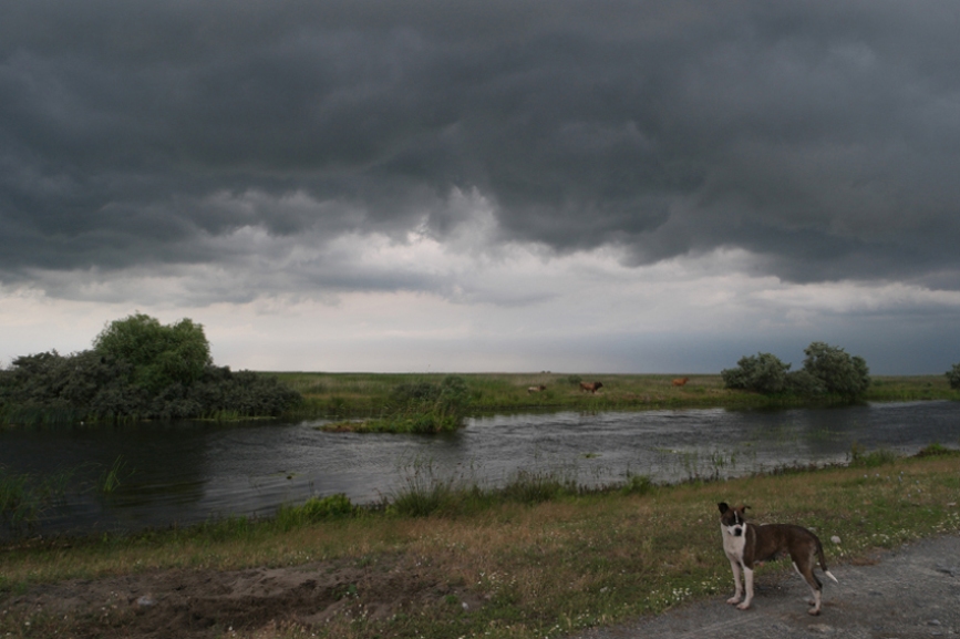 The clouds changed super fast, so did the weather ;-) #Danube Delta #Romania