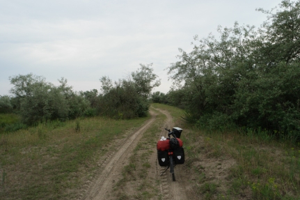 The road became sandy #Danube Delta #Romania
