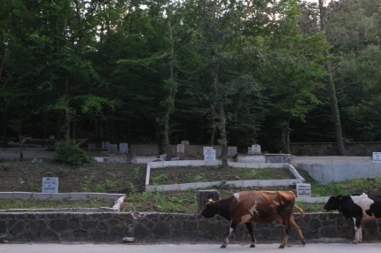 Graveyard #Turkey