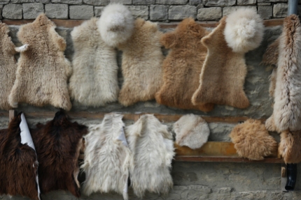 A vendor told me that the circular sheep skin would be a perfect cover for my saddle :-) #Lahıc #Azerbaijan